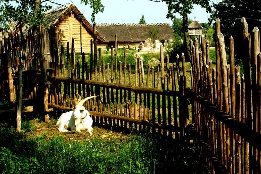 Zagroda w Faktorii w Pruszczu Gdańskim