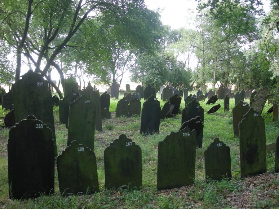 Skatalogowane - metalowe macewy Krzepickiego kirkuta