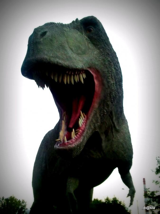 Trust me ... i'm a bunny ;) T Rex pod żyletą