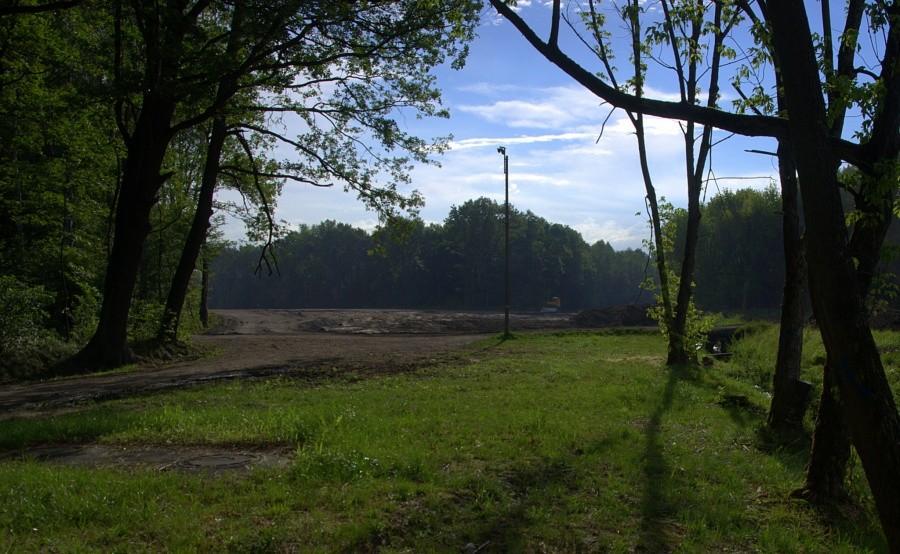 Poranek w lasku makoszowskim, w tle widać przygotowania do budowy średnicówki