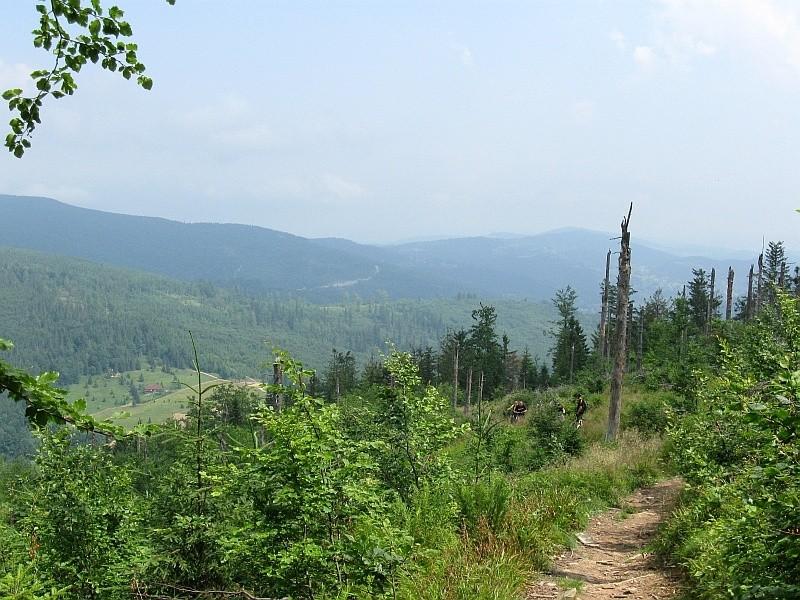 Trzeba kiedyś spróbować w dół.