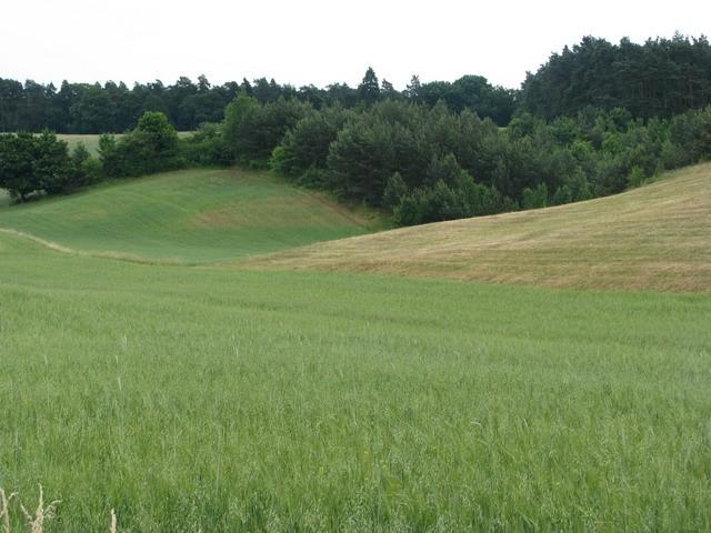 Jak widać, pięknych widoków nam nie brakuje