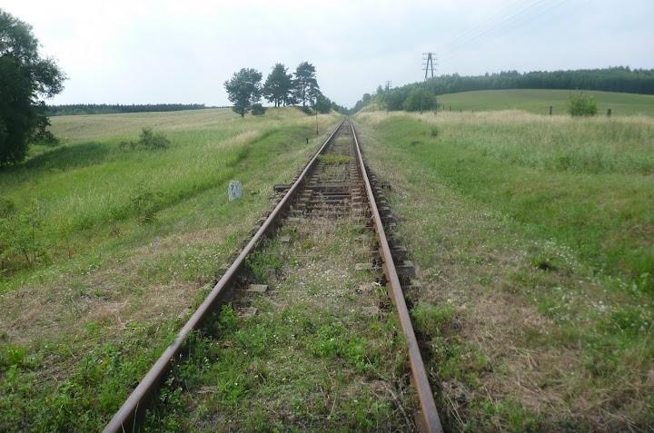 Tory to tylko jedno z moich zboczeń...