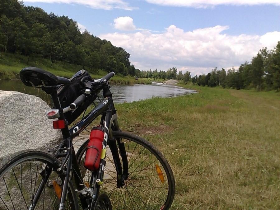 Felt nad rzeką Opavą w okolicy Hlucina
