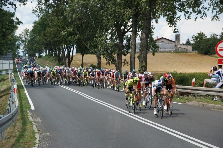 Peleton Tour de Pologne pędzi przez Reńską Wieś