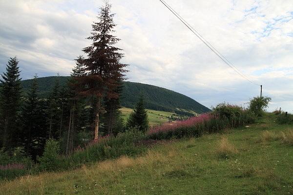 Modyń