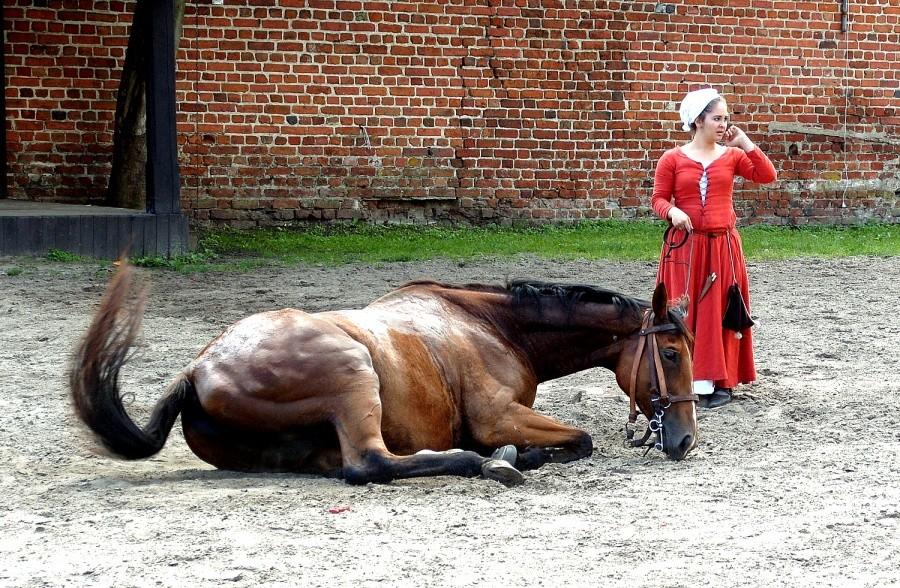 Pełen relaks….
