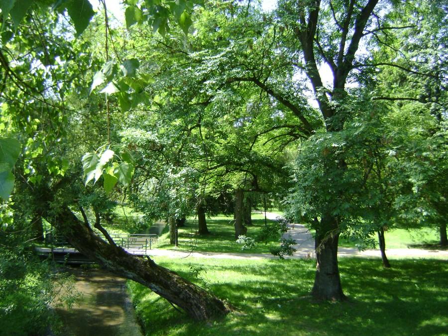 Nałęczowski park