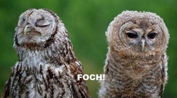 Foch!!!