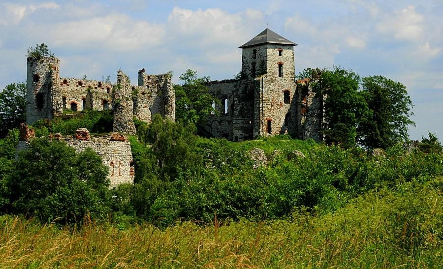 Zamek Tenczyński w Rudnie