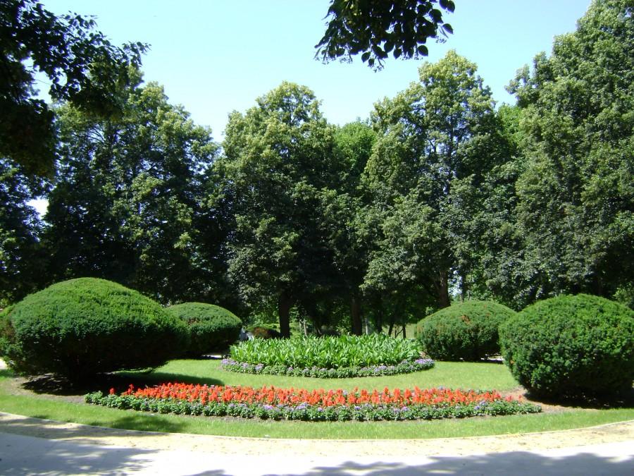 W zamojskim parku