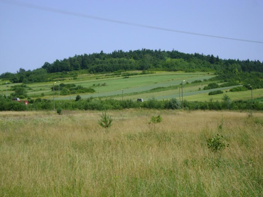 Ładne widoki w drodze powrotnej do Zwierzyńca