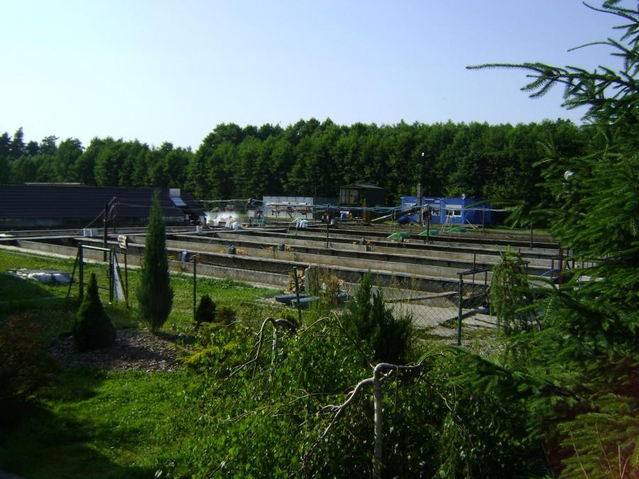 Pstrągarnia w Bondyrzu