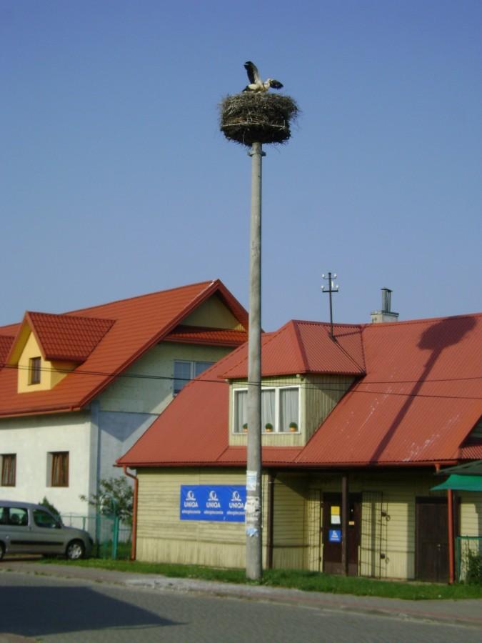 Krasnobrodzkie boćki