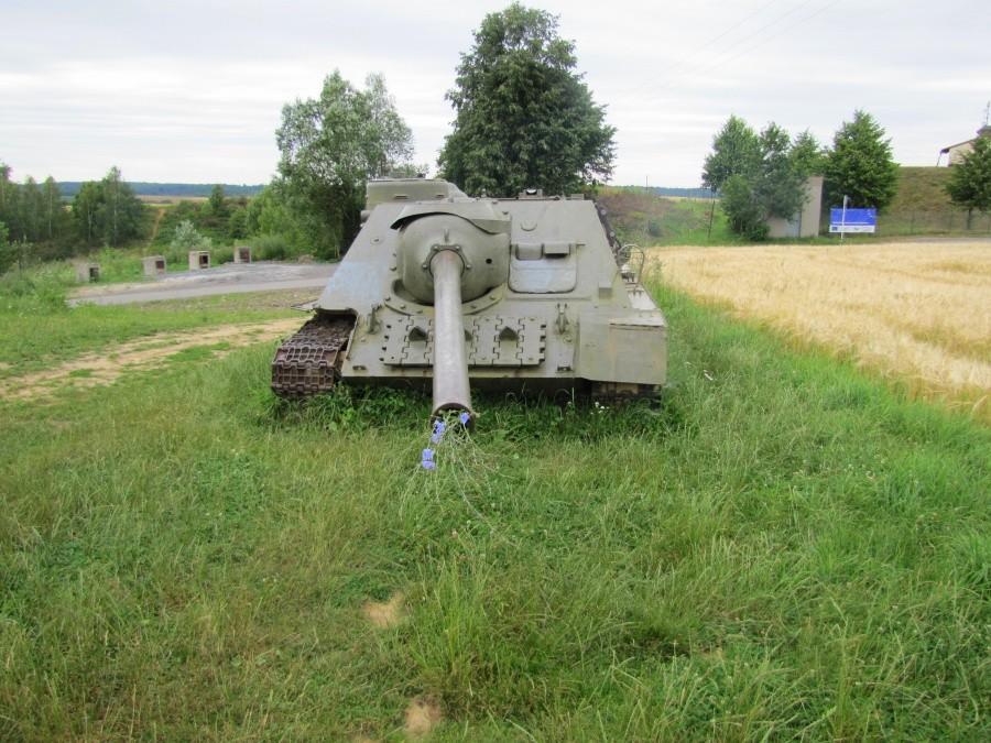 Kwiaty do lufy ....