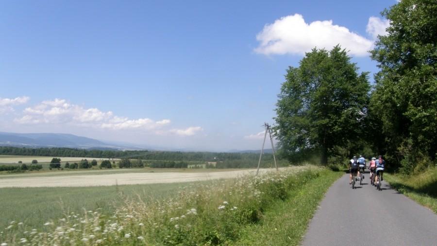 Asfalcikowy lansik ...