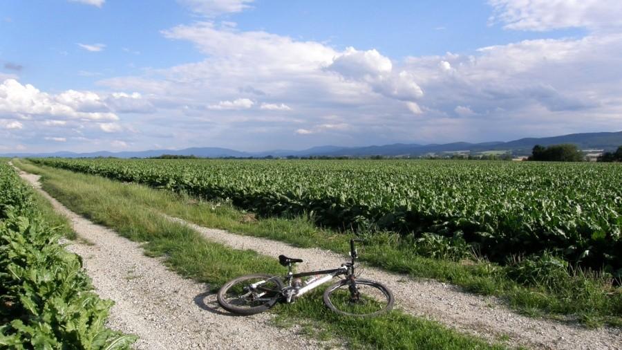 To już 1 km przed noclegownią, nawet i stąd widać Pradziada :)