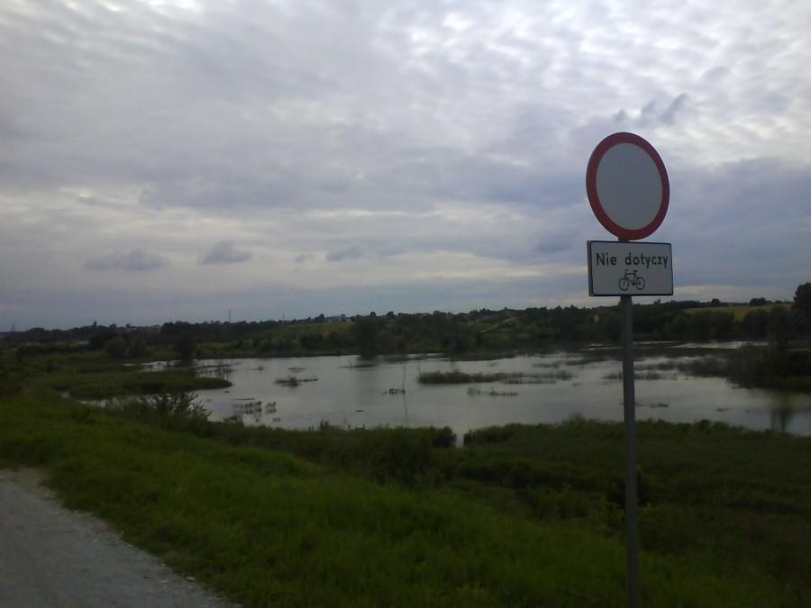 Cybina