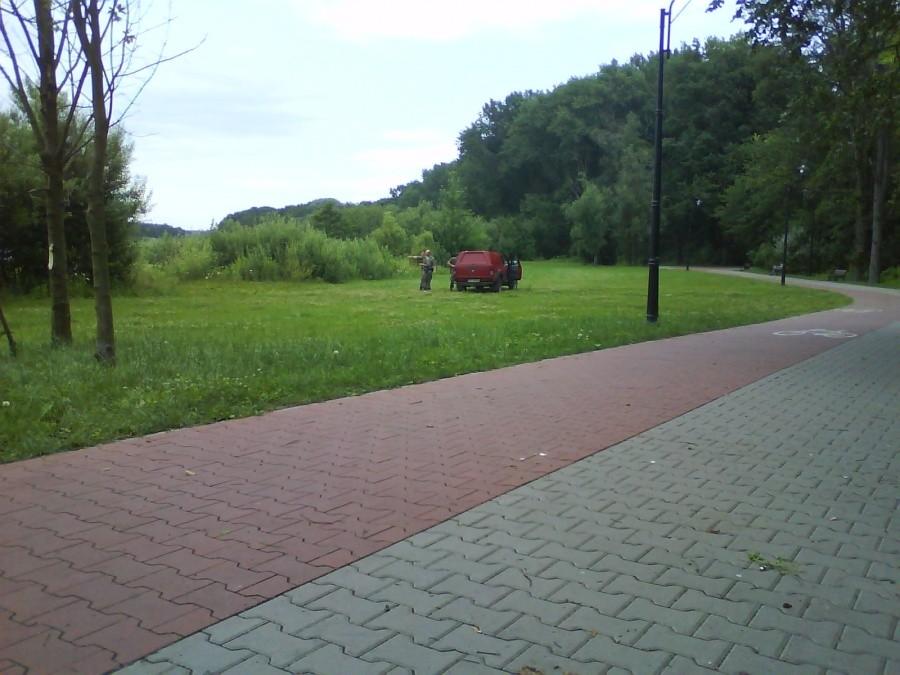 Polowanie na swarzedzkie dziki