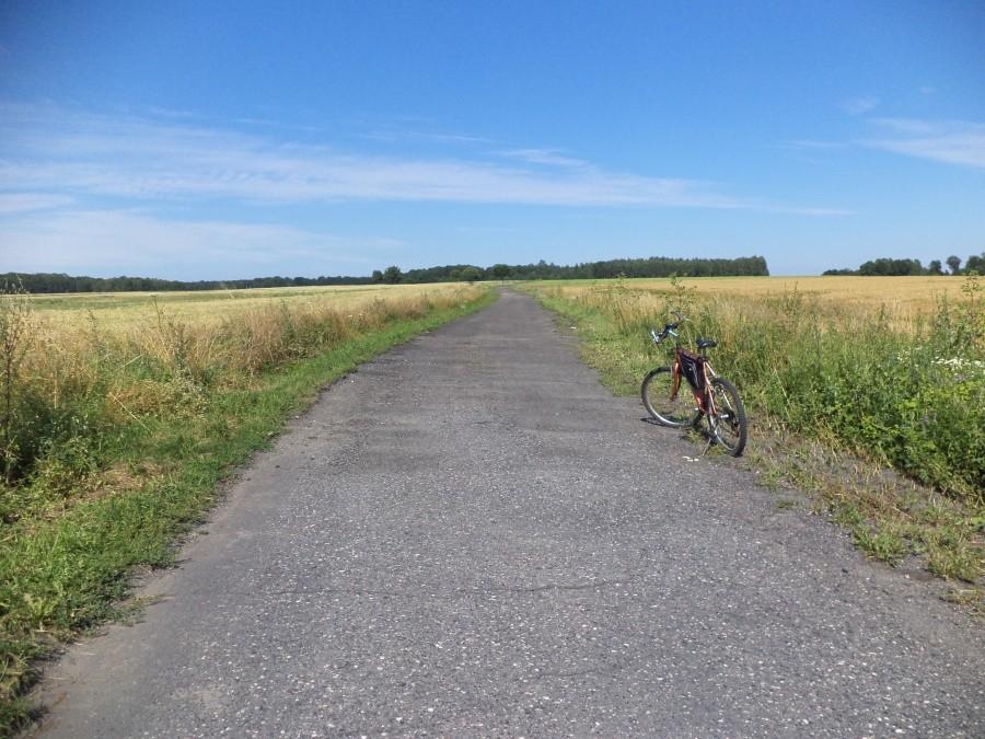 Koniec luksusów...