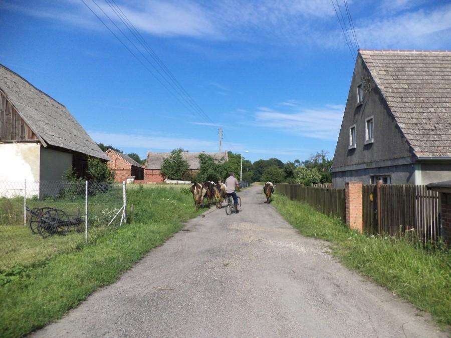 Główna arteria Studnic