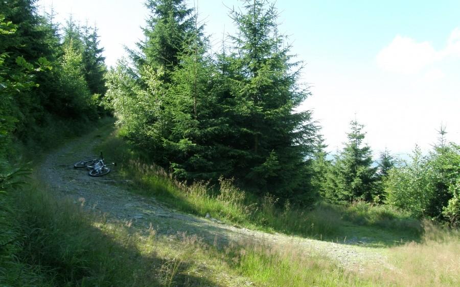 Fragment podjazdu na Jawornik Wielki. Konkretna stromizna :)