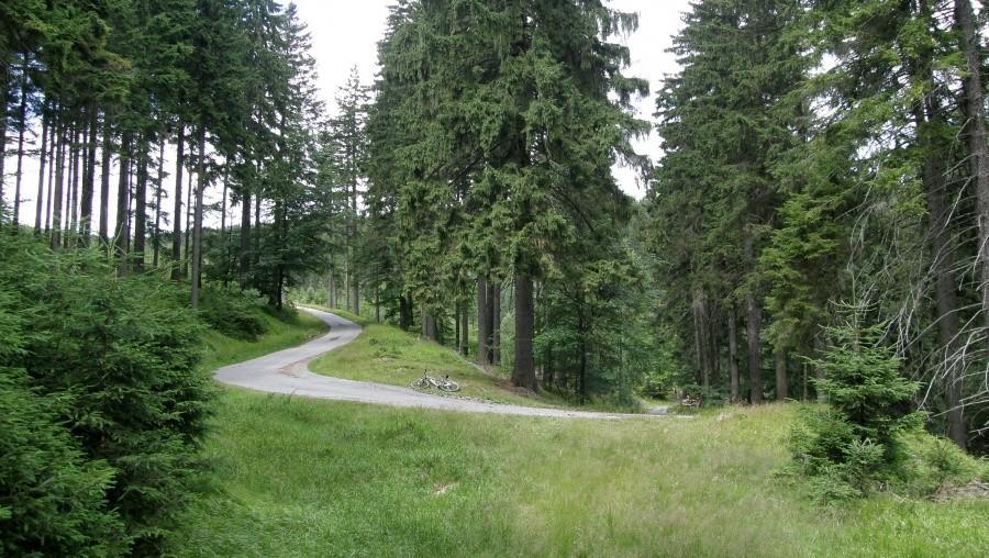 Podjazd na Przełęcz Suchą
