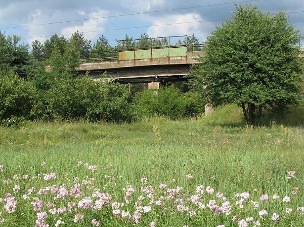 główne skrzyzowanie lini kolejowych 8 Warszawa Kraków i 12 Łuków Skierniewice