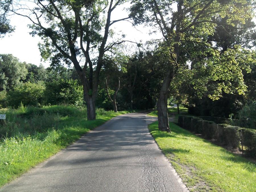 Podjazd do Kałdusa w tempie 9km/h:)