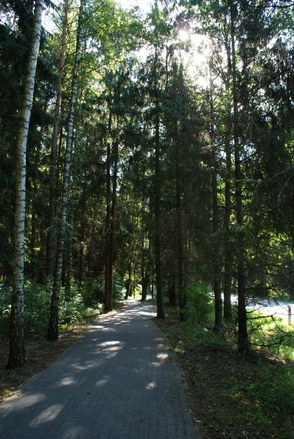 DDR do Spały