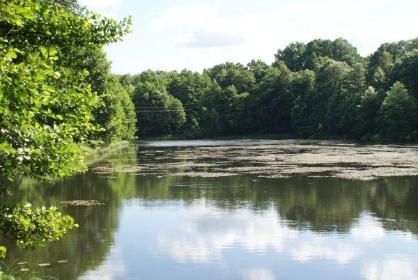 staw nad Gacią