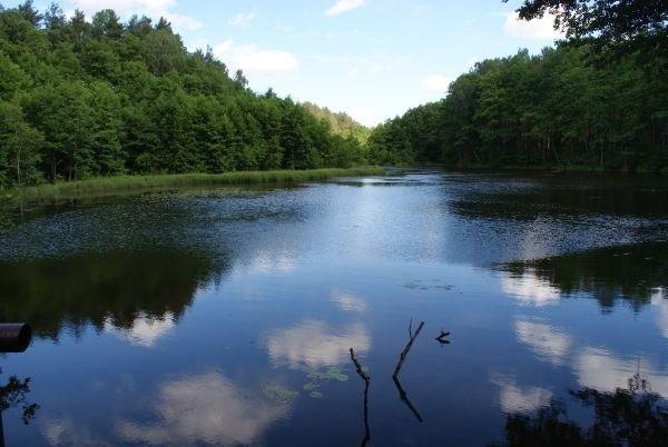 kolejny staw nad Gacią