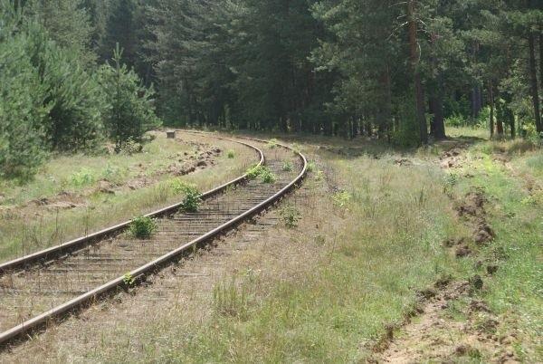 te tory prowadzą do Spały. Tutaj żadna kolej nie jeździ.