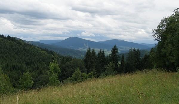 Widoczki