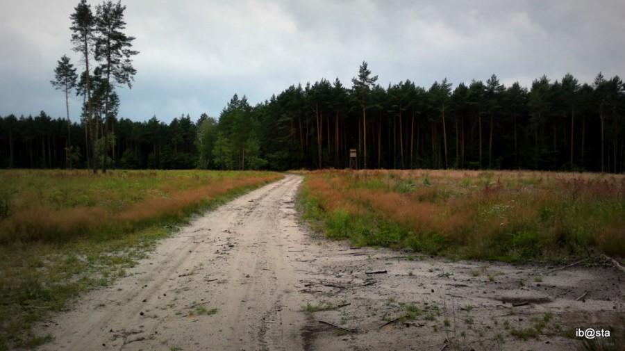 Droga do Kuźnicy Sulikowskiej