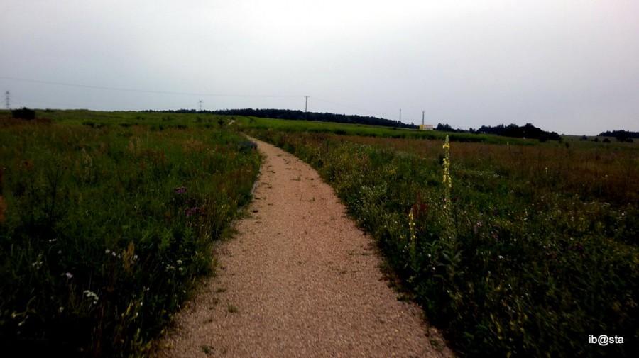 czerwony szlak zamkowy