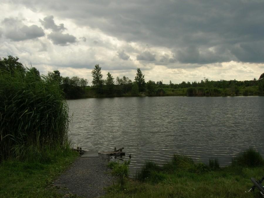 Mały stawik