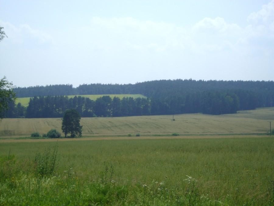 Widok w drodze do Horyńca