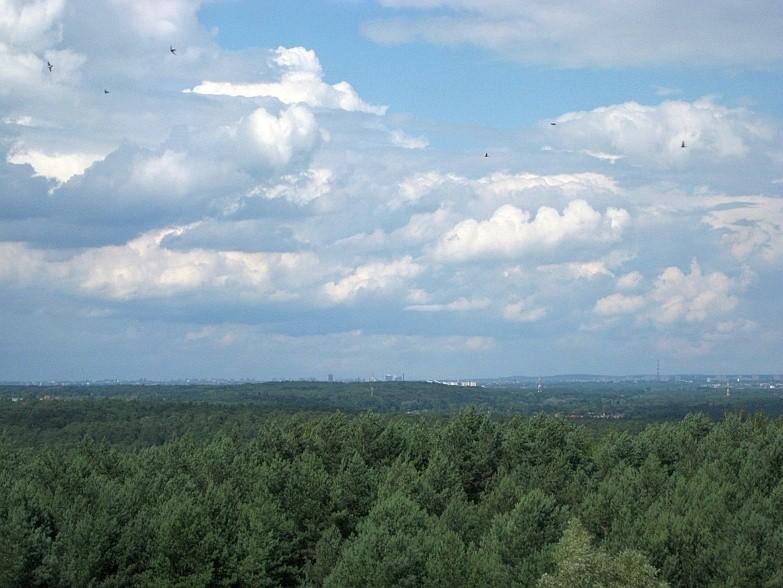 Widok na Poznań - spostrzegawszy zobaczą Dziewiczą Górę na lewo od centrum.