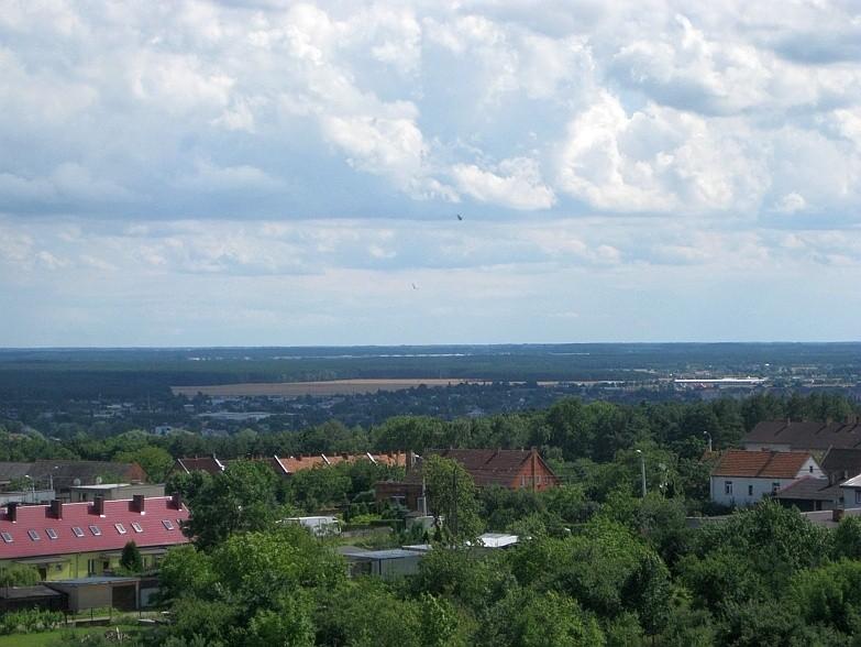 widok na Mosinę
