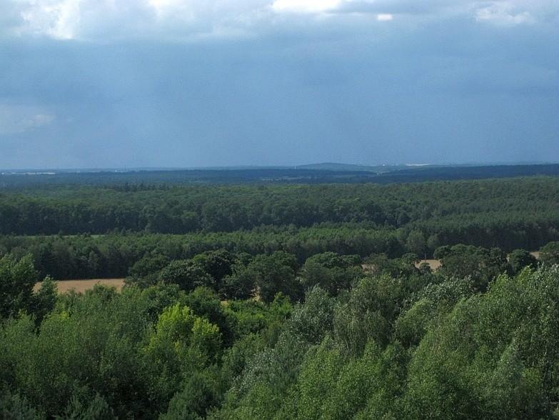 Wielkopolski Park Narodowy