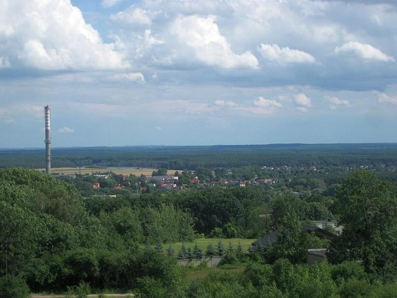 Mosina na pierwszym plania