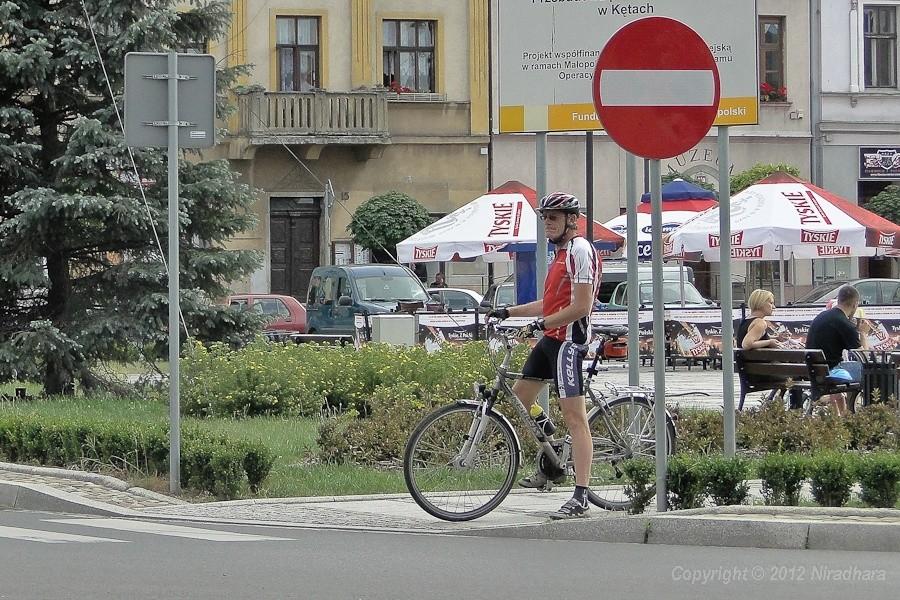 Kajman we własnej osobie