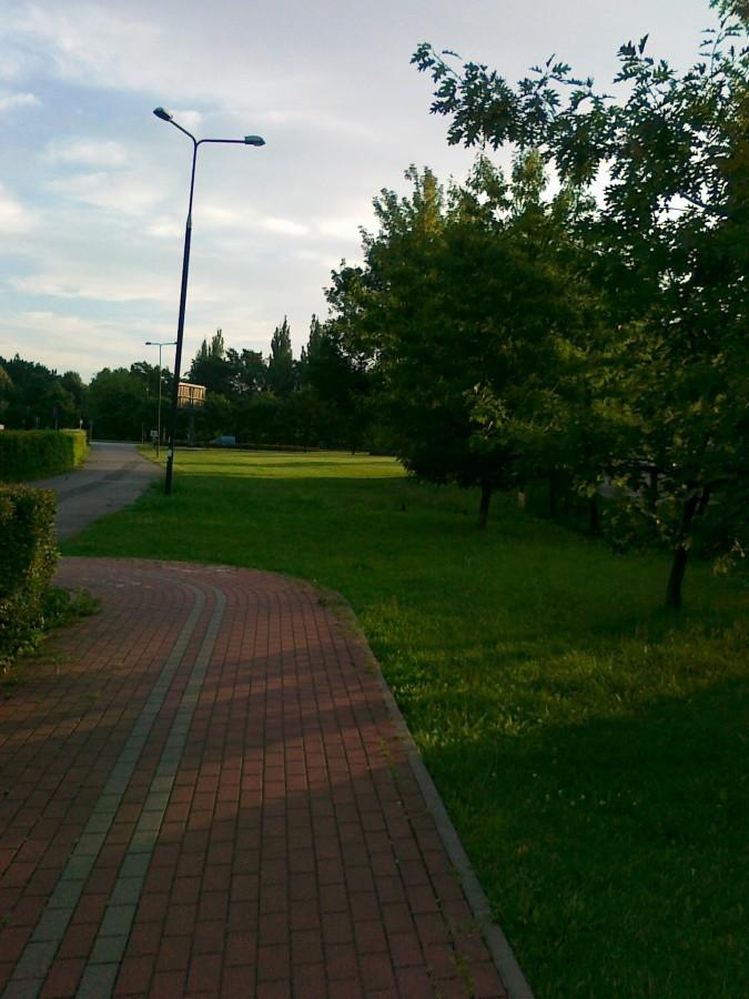 Ścieżka w parku Szymanowskiego