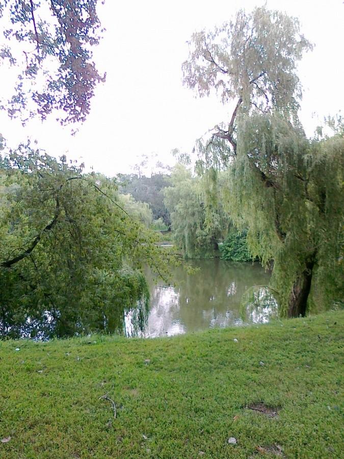 Park Moczydło jest po prostu piękny