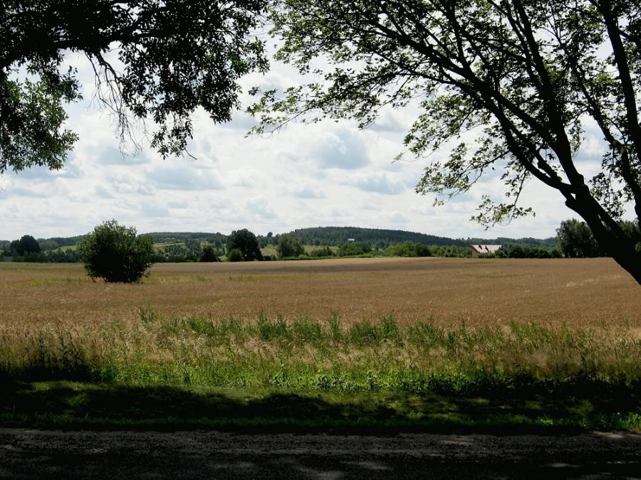 Widok na PKWŁ z drogi Stryków - Zgierz