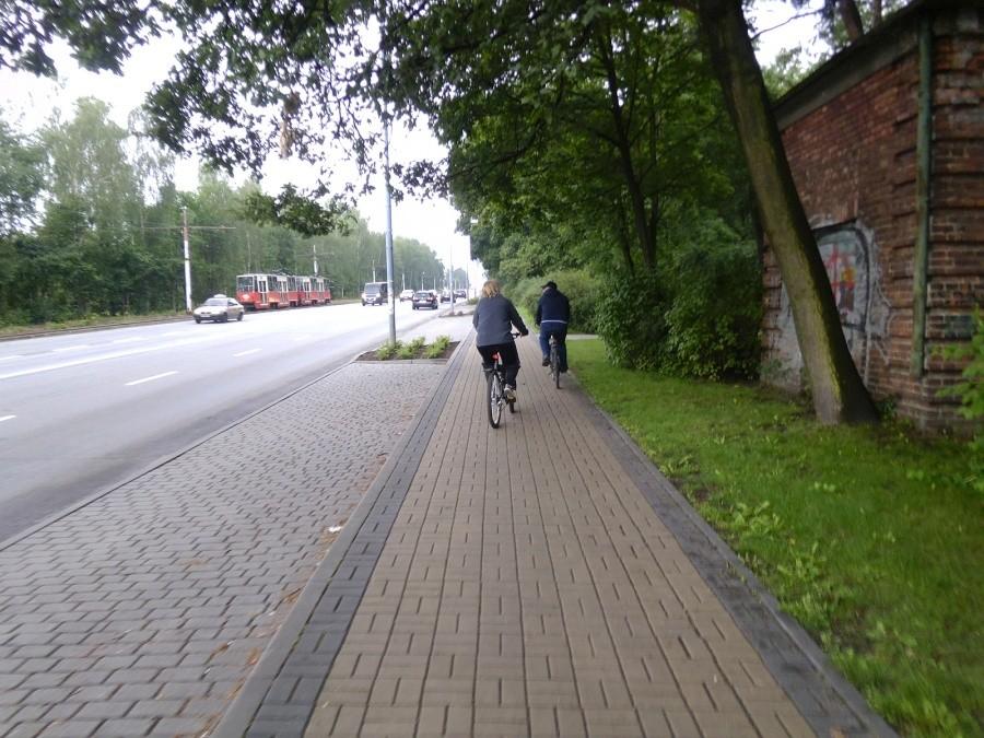 Katowice: Ścieżka na obrzeżu Parku Kościuszki.