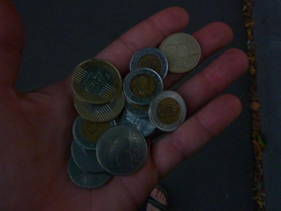 Lepsza kolacja w garści niż banknoty euro w portfelu (przy pozamykanych już kantorach)