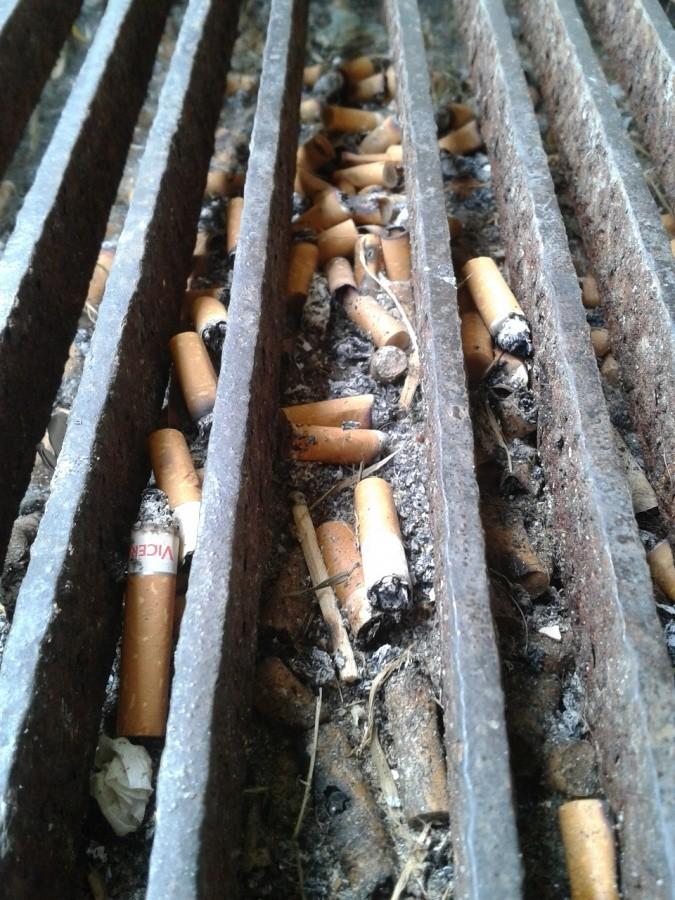 Kratka petowa