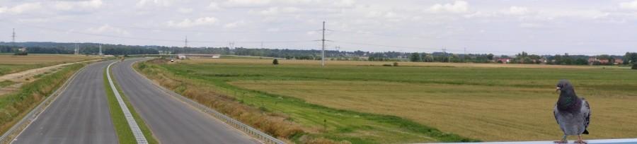 S8 - widok w stronę Oleśnicy